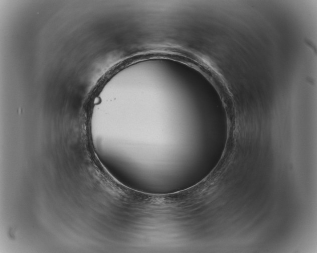 X0000102871360200808251231