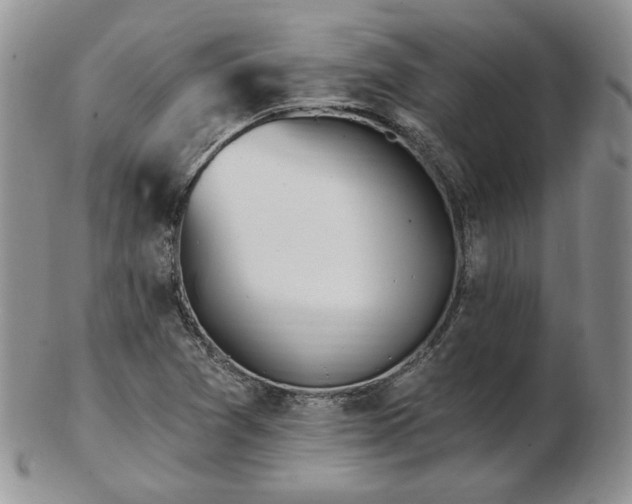 X0000102871361200808251231