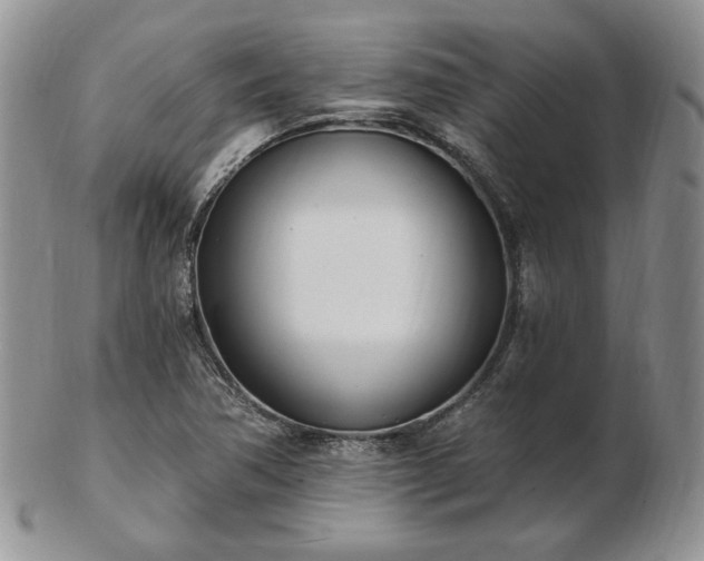 X0000102871362200808251231