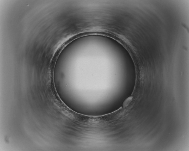 X0000102871364200808251231