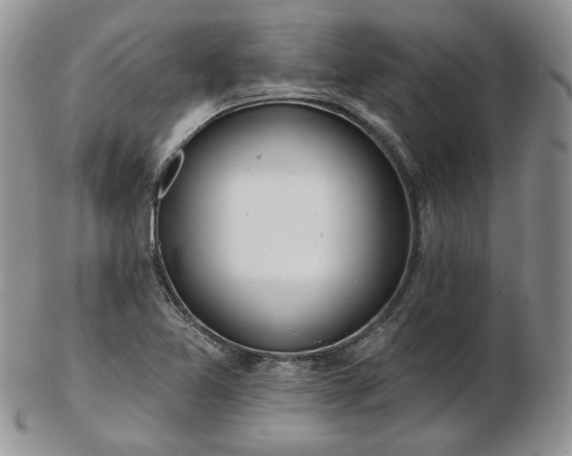 X0000102871365200808251231