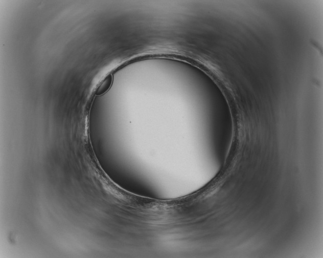 X0000102871366200808251231