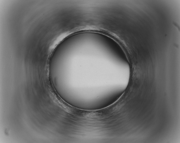 X0000102871367200808251231