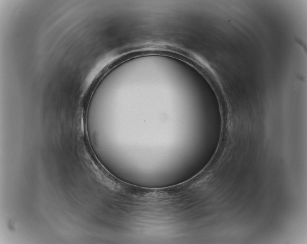 X0000102871368200808251231