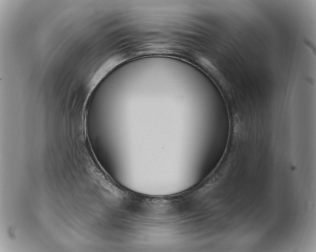 X0000102871370200808251231