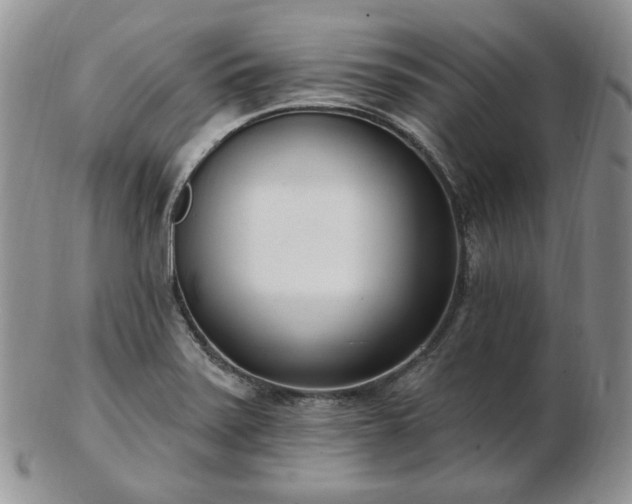 X0000102871371200808251231