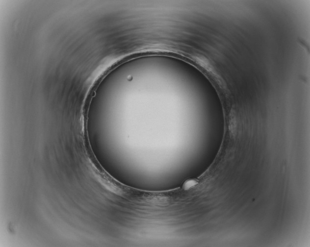 X0000102871372200808251231