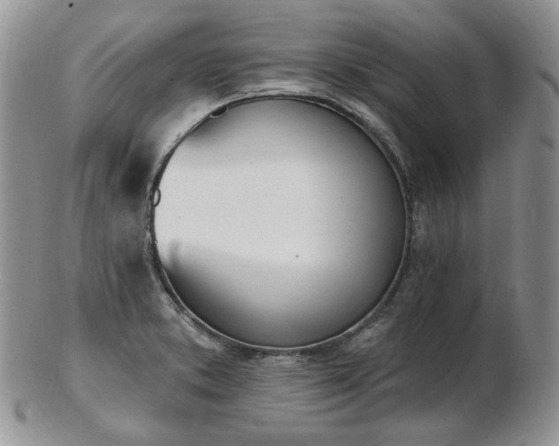 X0000102871373200808251231