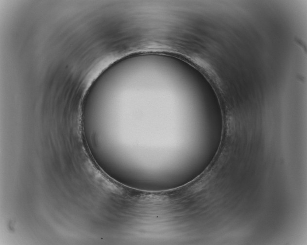 X0000102871374200808251231