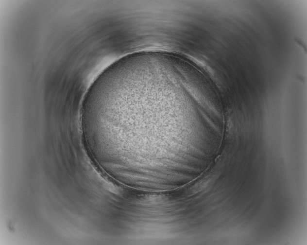 X0000102871375200808251231