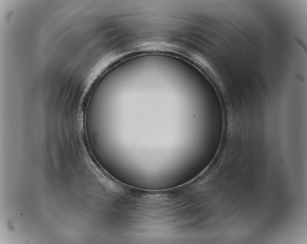 X0000102871376200808251231