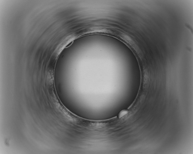 X0000102871377200808251231