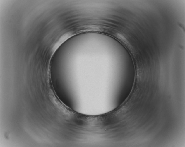 X0000102871378200808251231