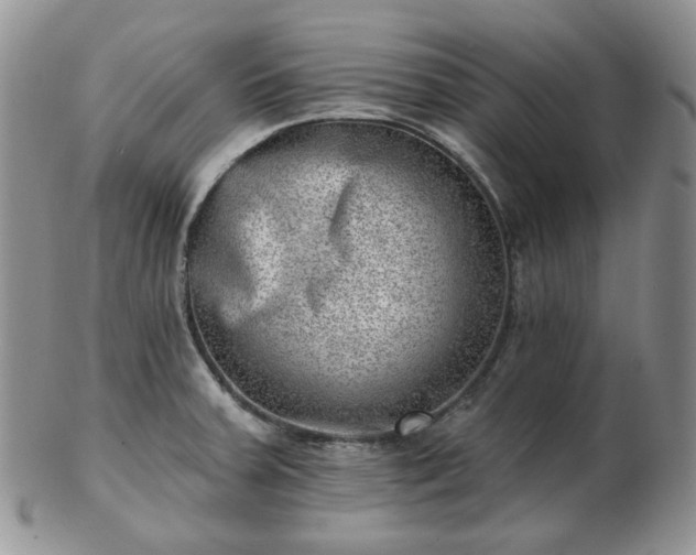 X0000102871379200808251231