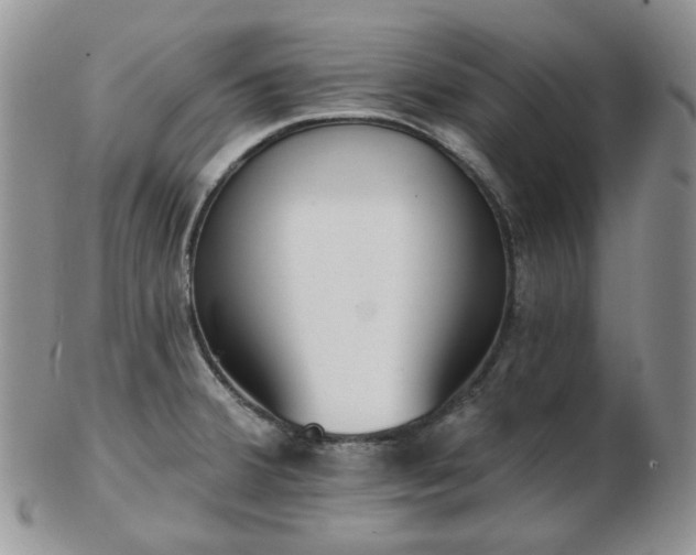 X0000102871380200808251231