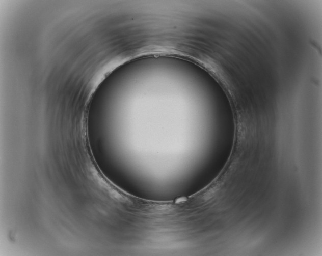 X0000102871382200808251231