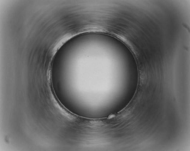 X0000102871383200808251231
