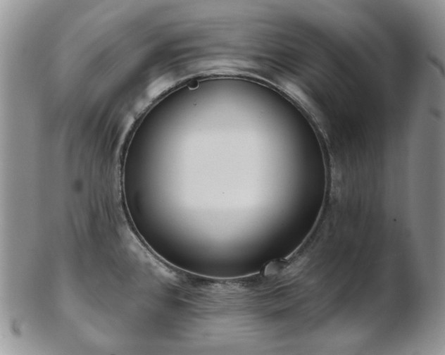 X0000102871384200808251231