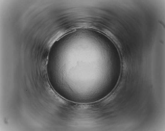 X0000102871385200808251231