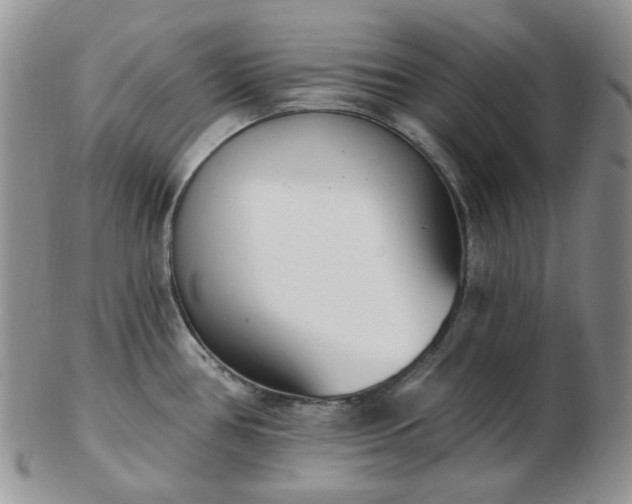 X0000102871386200808251231