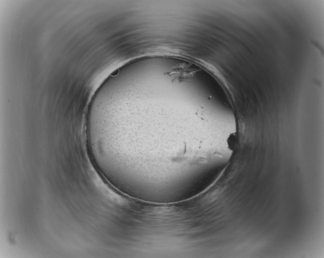 X0000102871387200808251231