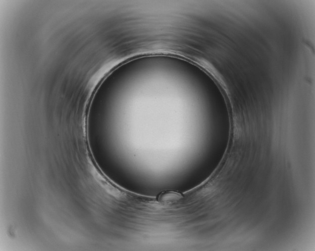 X0000102871388200808251231