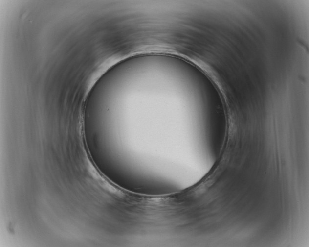 X0000102871390200808251231