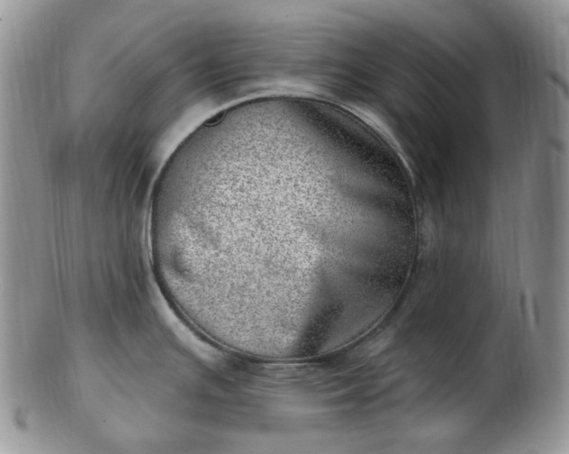 X0000102871391200808251231