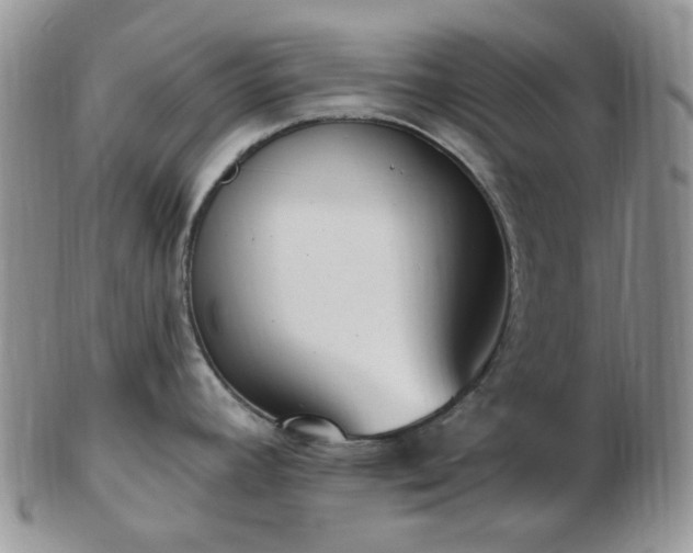 X0000102871392200808251231