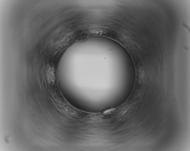 X0000102871394200808251230
