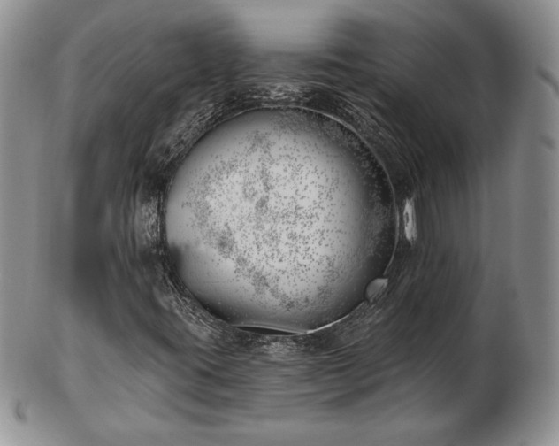 X0000102871395200808251230