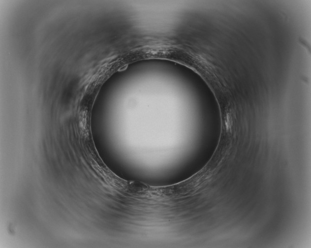 X0000102871396200808251230
