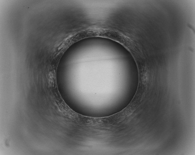 X0000102871397200808251230