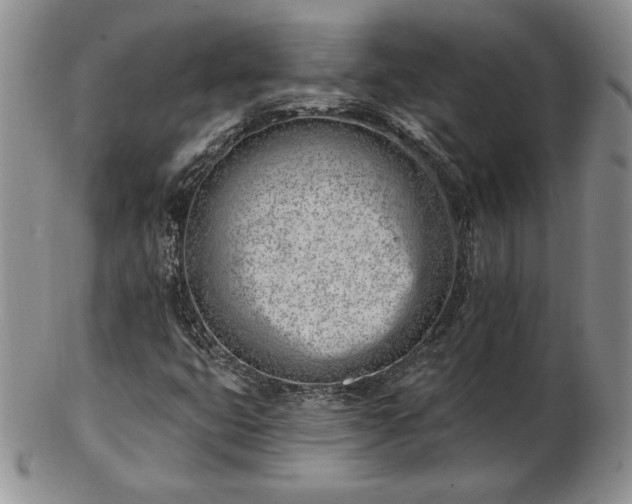 X0000102871399200808251230