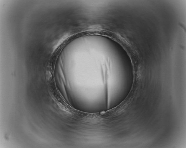 X0000102871400200808251230