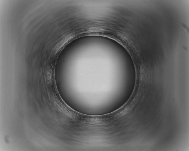X0000102871401200808251230