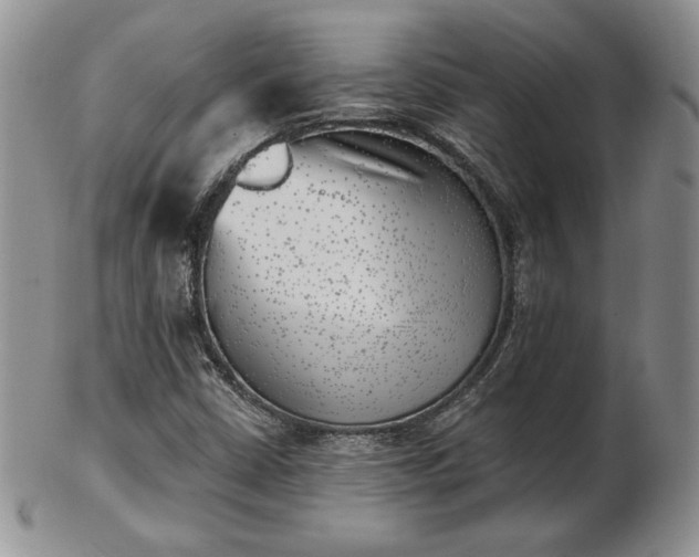 X0000102871402200808251230