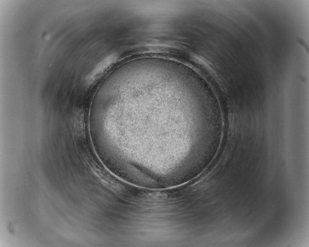 X0000102871403200808251230