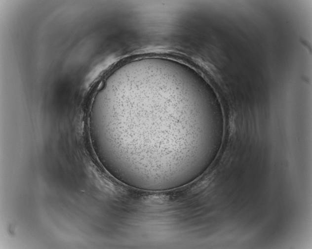 X0000102871406200808251230
