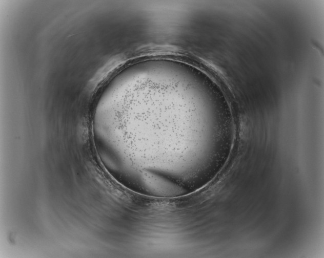 X0000102871407200808251230