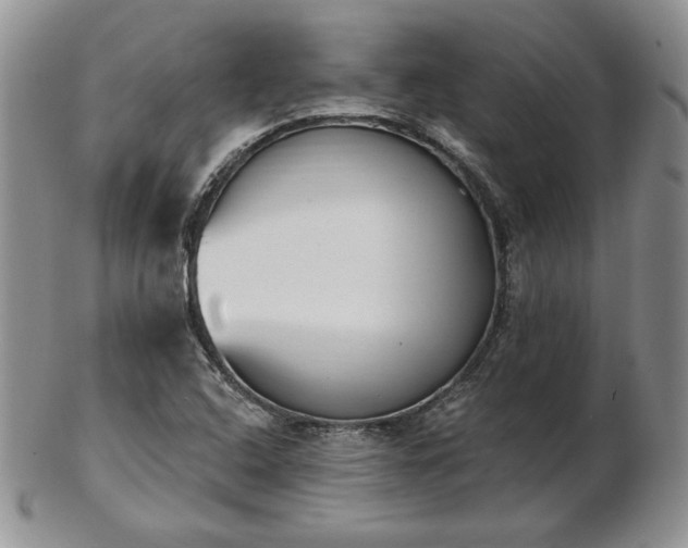 X0000102871408200808251230