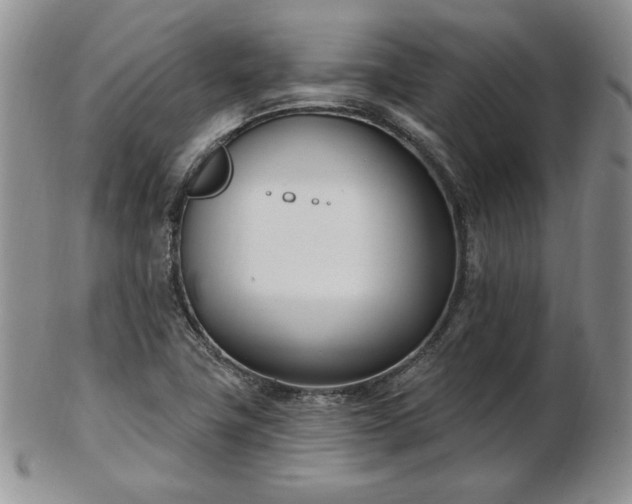 X0000102871411200808251230