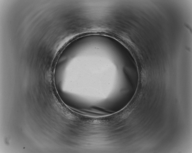 X0000102871412200808251230