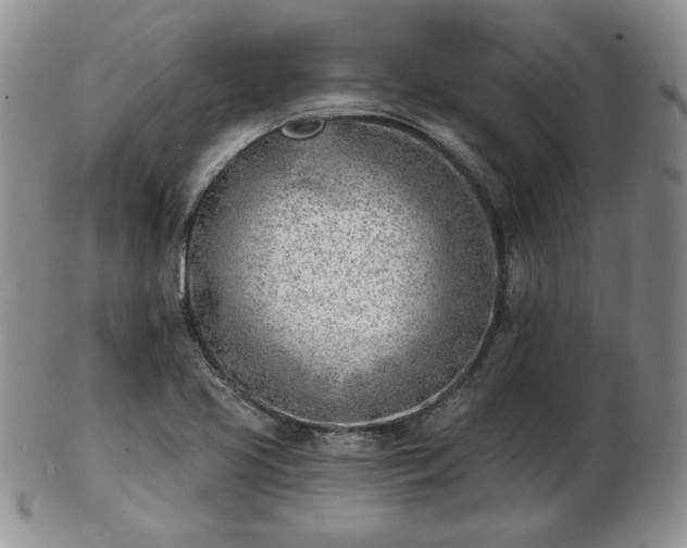 X0000102871413200808251230