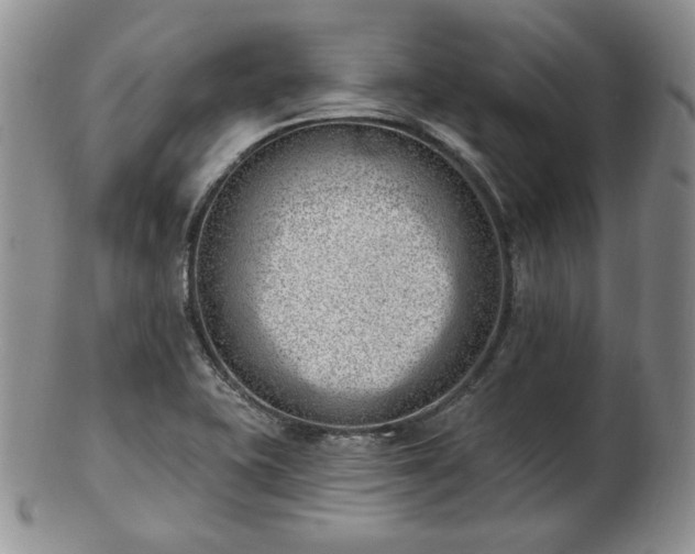 X0000102871415200808251230