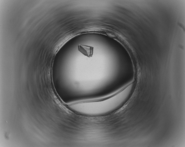 X0000102871417200808251230