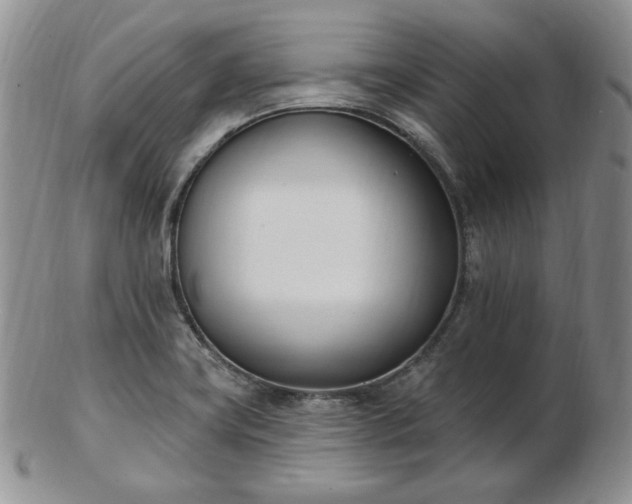 X0000102871419200808251230