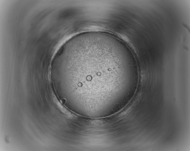 X0000102871421200808251230
