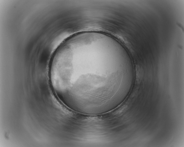 X0000102871422200808251230