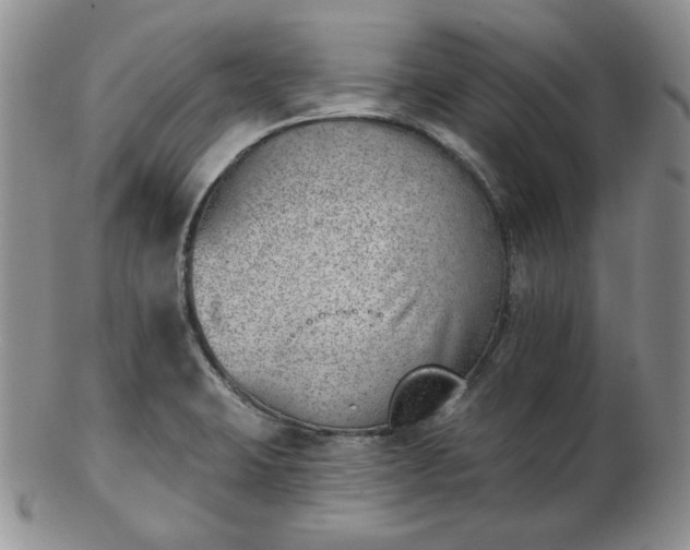 X0000102871423200808251230